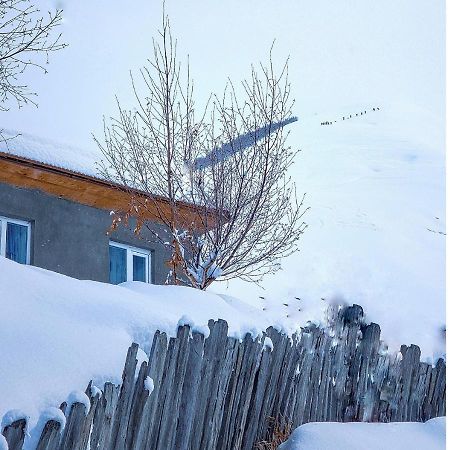 Guest House Data Ushguli Luaran gambar